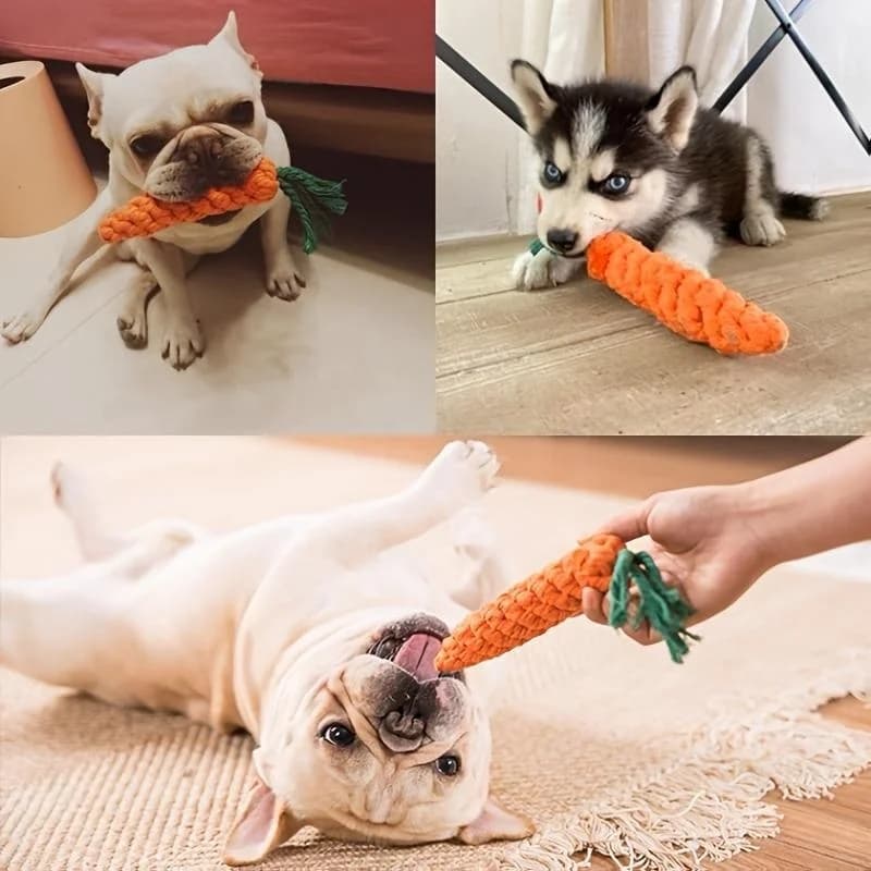 Carrot Shape Dog Chew Toy thumbnail 2