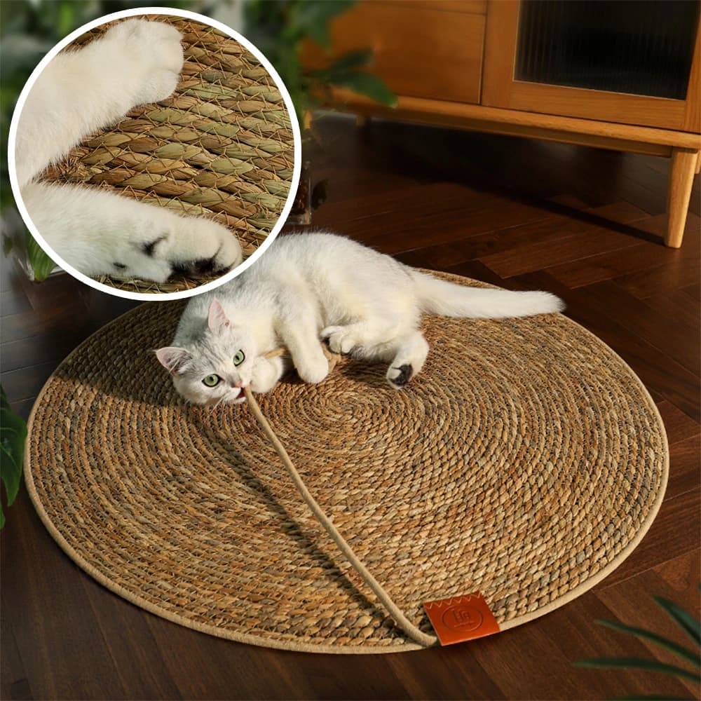 Mat Scratcher For Cats