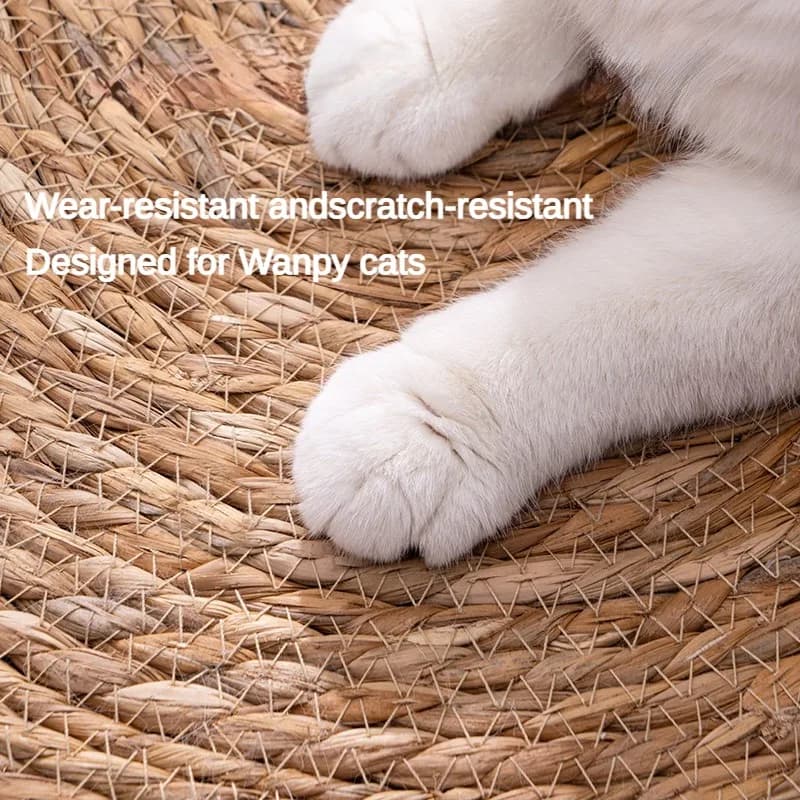Mat Scratcher For Cats thumbnail 4