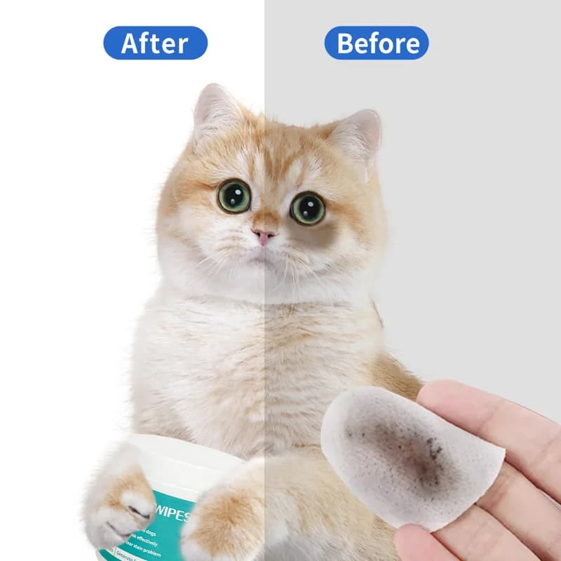 Pet Eye Wipes thumbnail 2