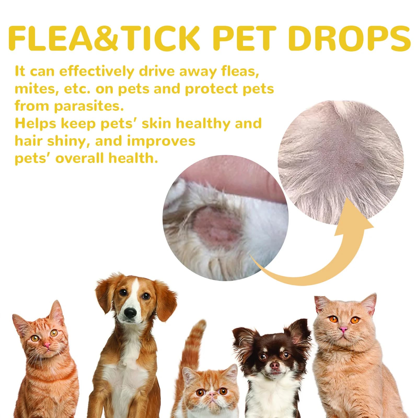 Anti Flea Drops thumbnail 3