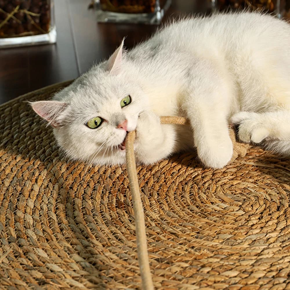 Mat Scratcher For Cats thumbnail 2