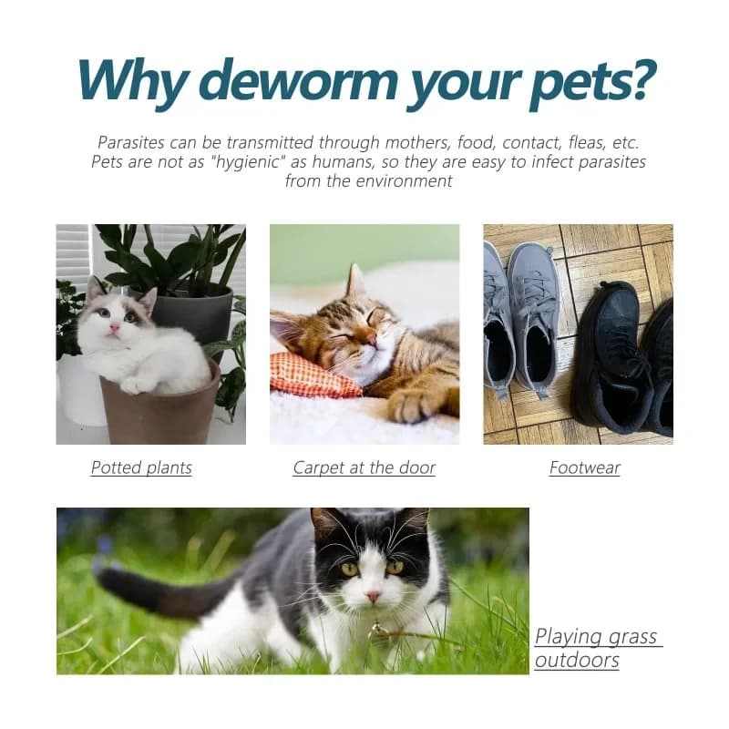 Flea and Ticks Repellent For Cats thumbnail 3