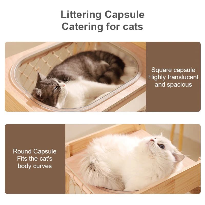Cat Climbing & Scratching Board thumbnail 2