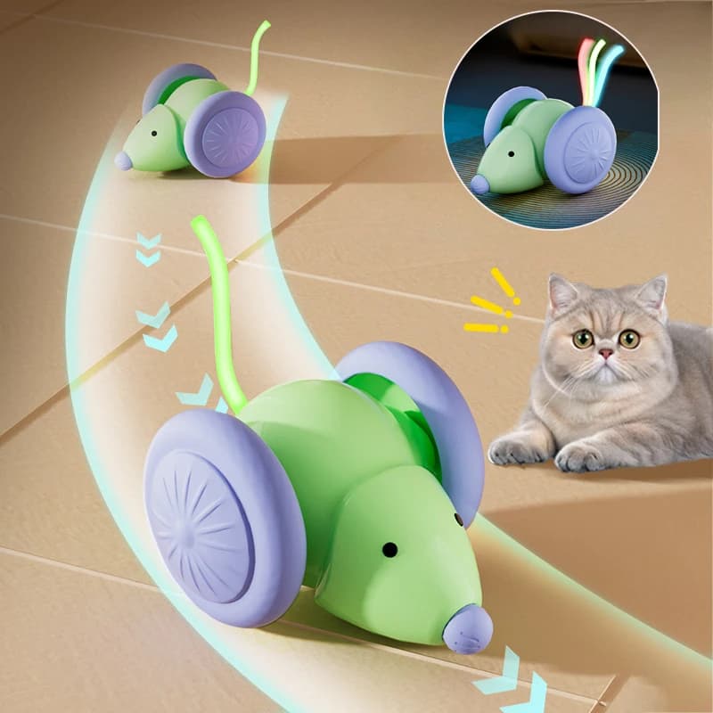 Electric Mouse Car Cat Toy