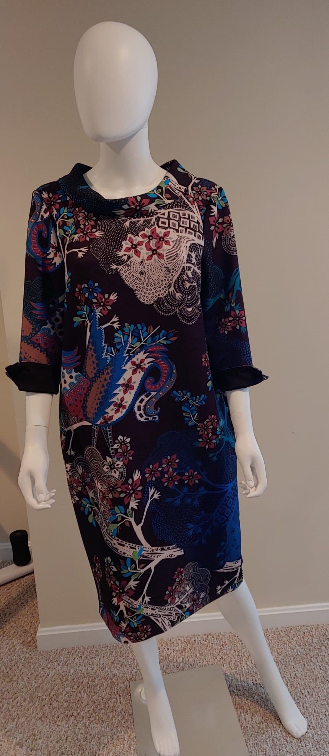 Multicolor Oiseau