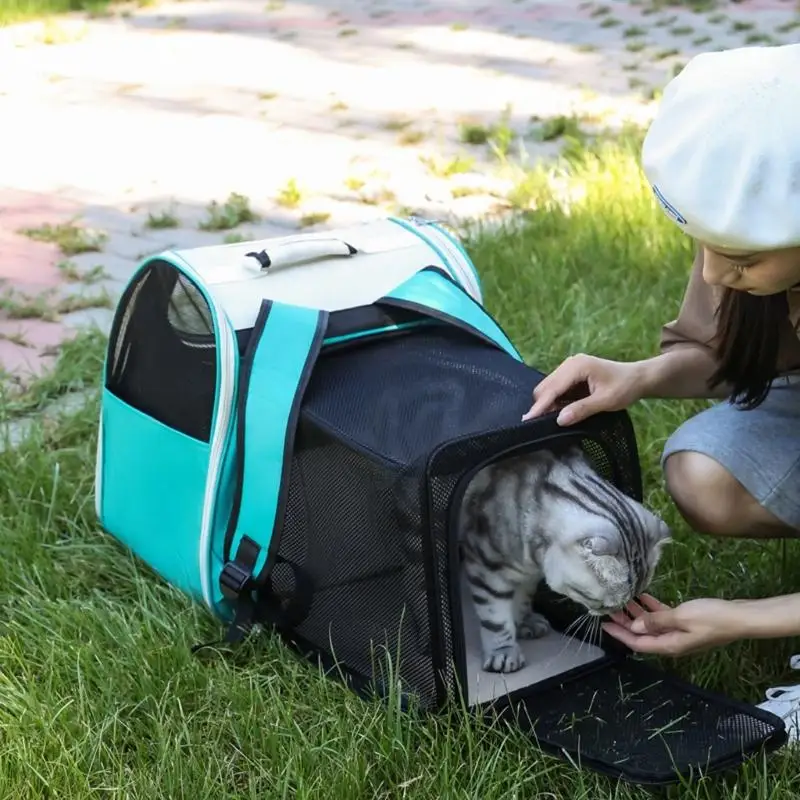 Pet Backpack Cats Carriers Bag Soft Big Capacity with Window Breathable Pet Carriers Sightseeing Bag 87HA thumbnail 2