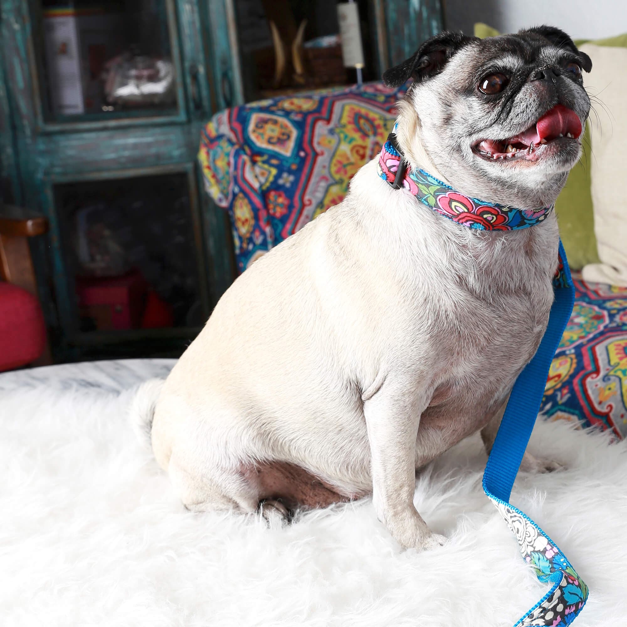 Blue Floral Designer Dog Leash –  ‘Alice’ thumbnail 2