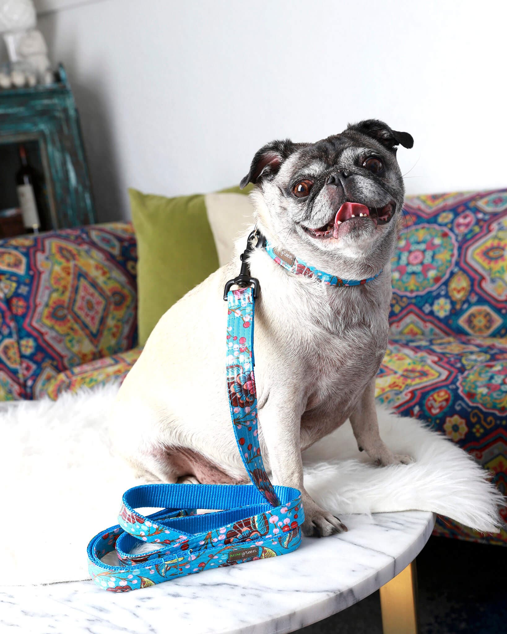 Blue Botanical Print Laminated Cotton Dog Collar – ‘Bloom’ thumbnail 4