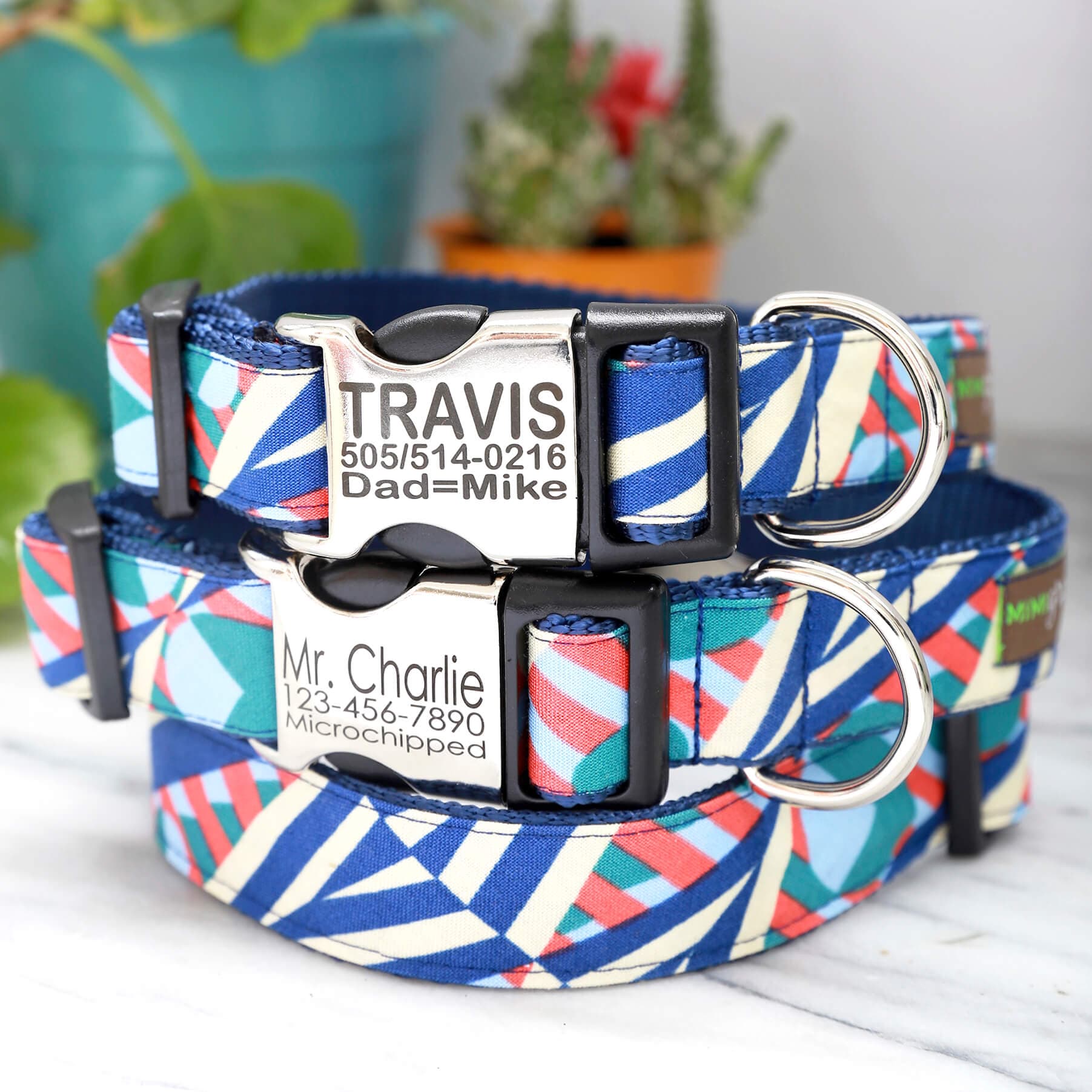 Orange &amp; Blue Designer Dog Collar ‘Travis’ thumbnail 2