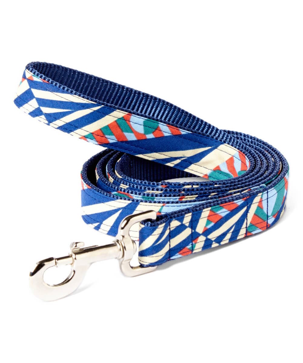Orange &amp; Blue Designer Dog Collar ‘Travis’ thumbnail 4