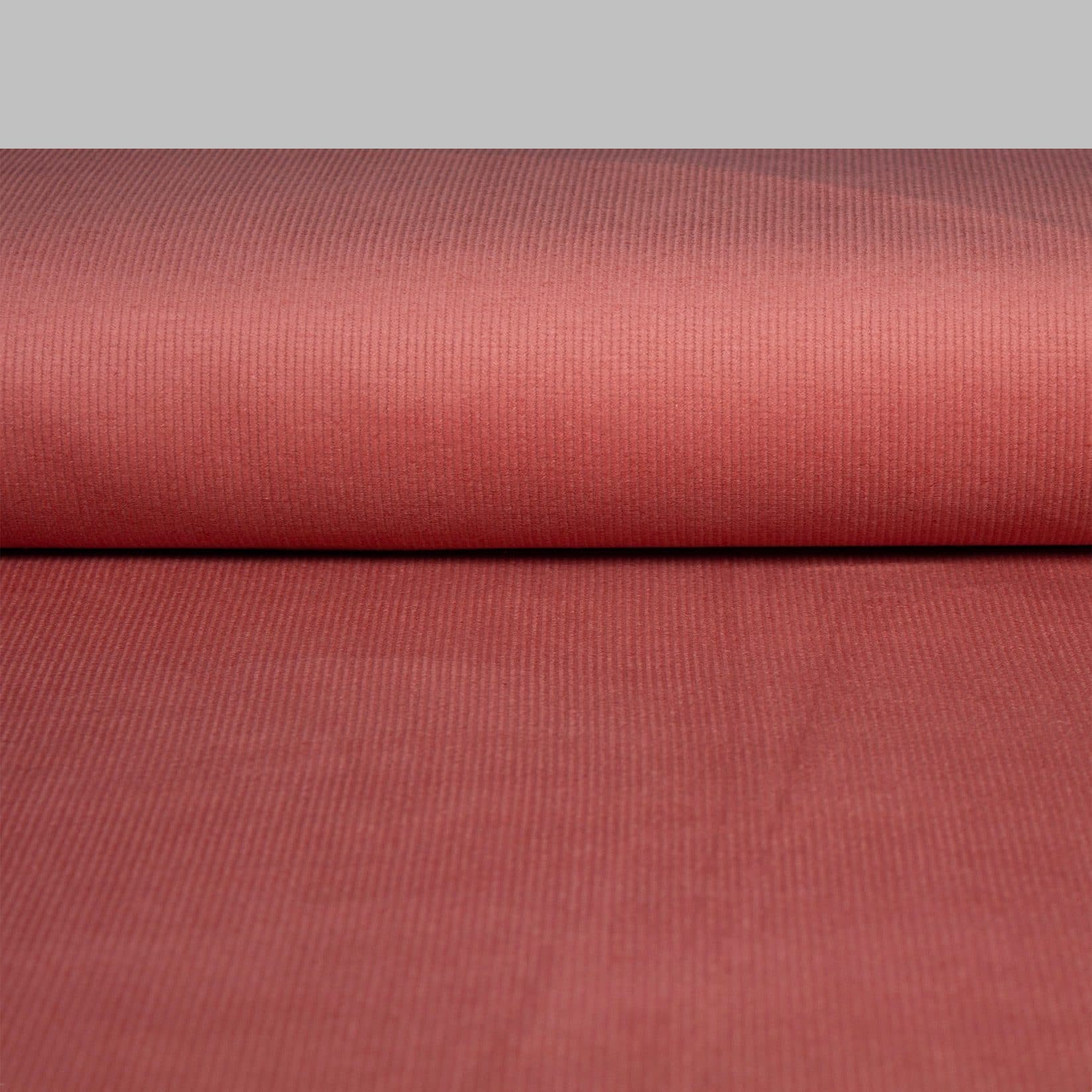 Velours côtelé extensibles 14W – Rose